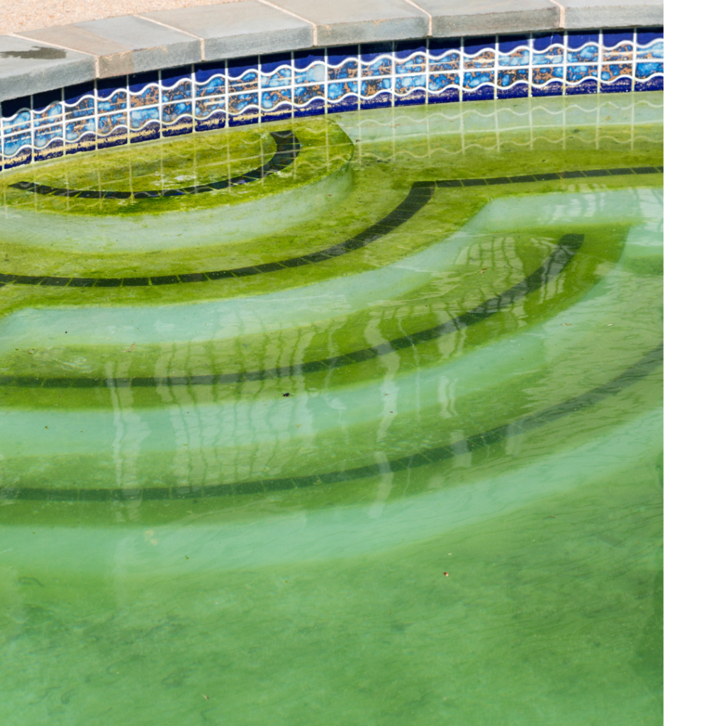 A set of stairs into a pool are infested with green pool water which indicates the presence of algae.